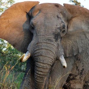 Sehenswürdigkeiten Südafrika