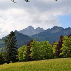 Sehenswürdigkeiten Bayern