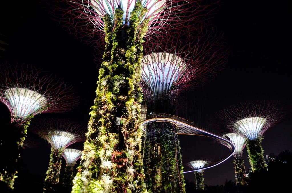 Supertrees Singapur