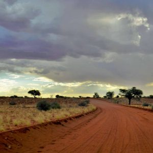 Auf dem Weg in die Kalahari