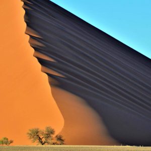 Die Dünen der Namib