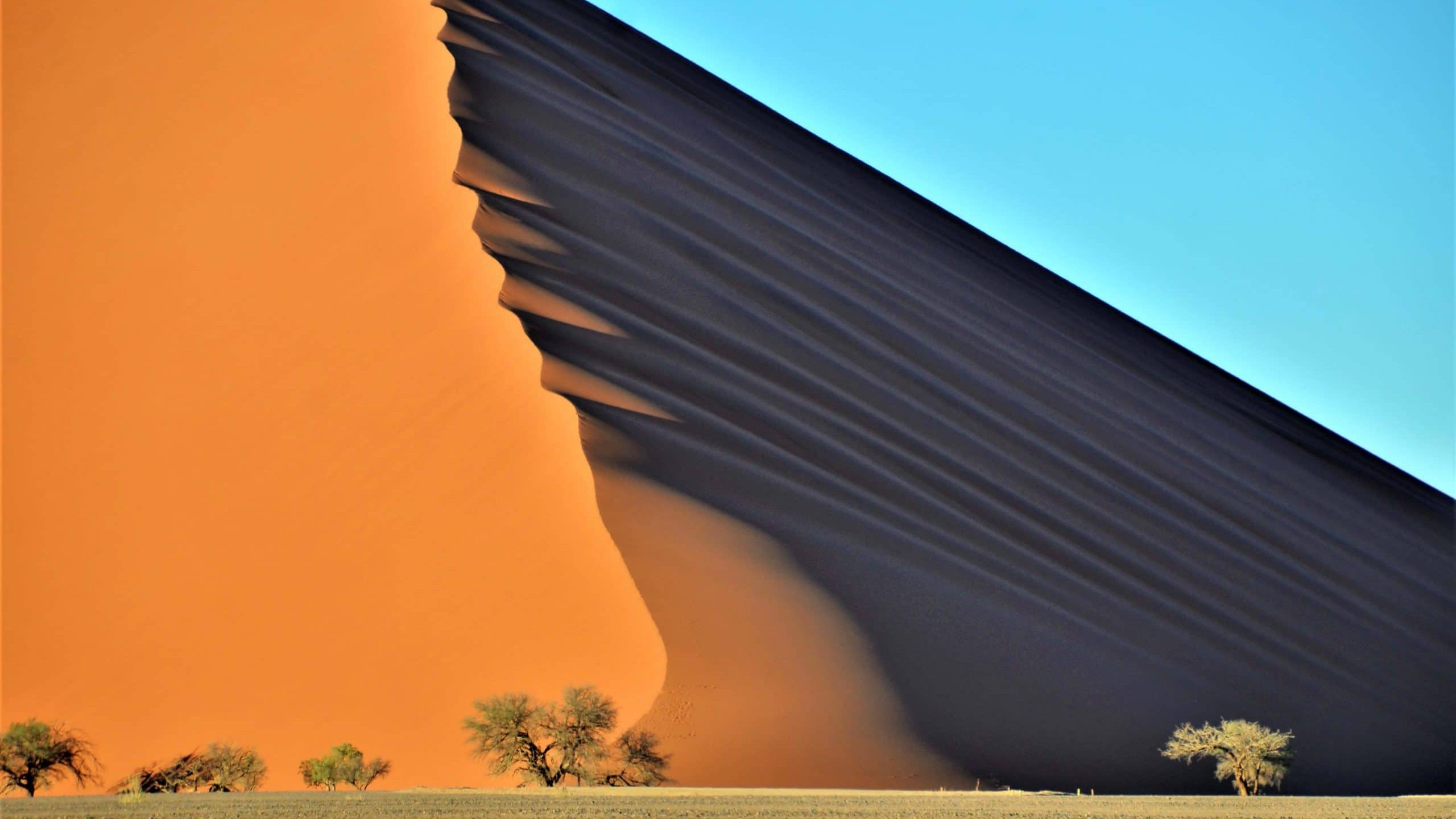 Die Dünen der Namib Namibia Rundreise 