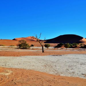 Reisebericht Namibia