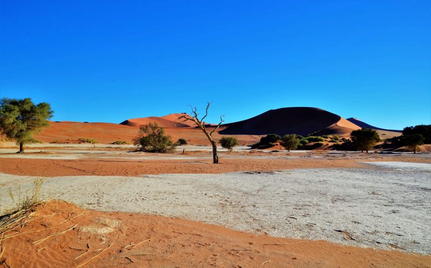 Reisebericht Namibia
