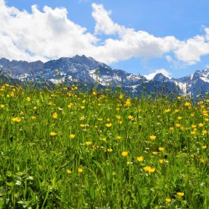 Bergwanderung Eckbauer