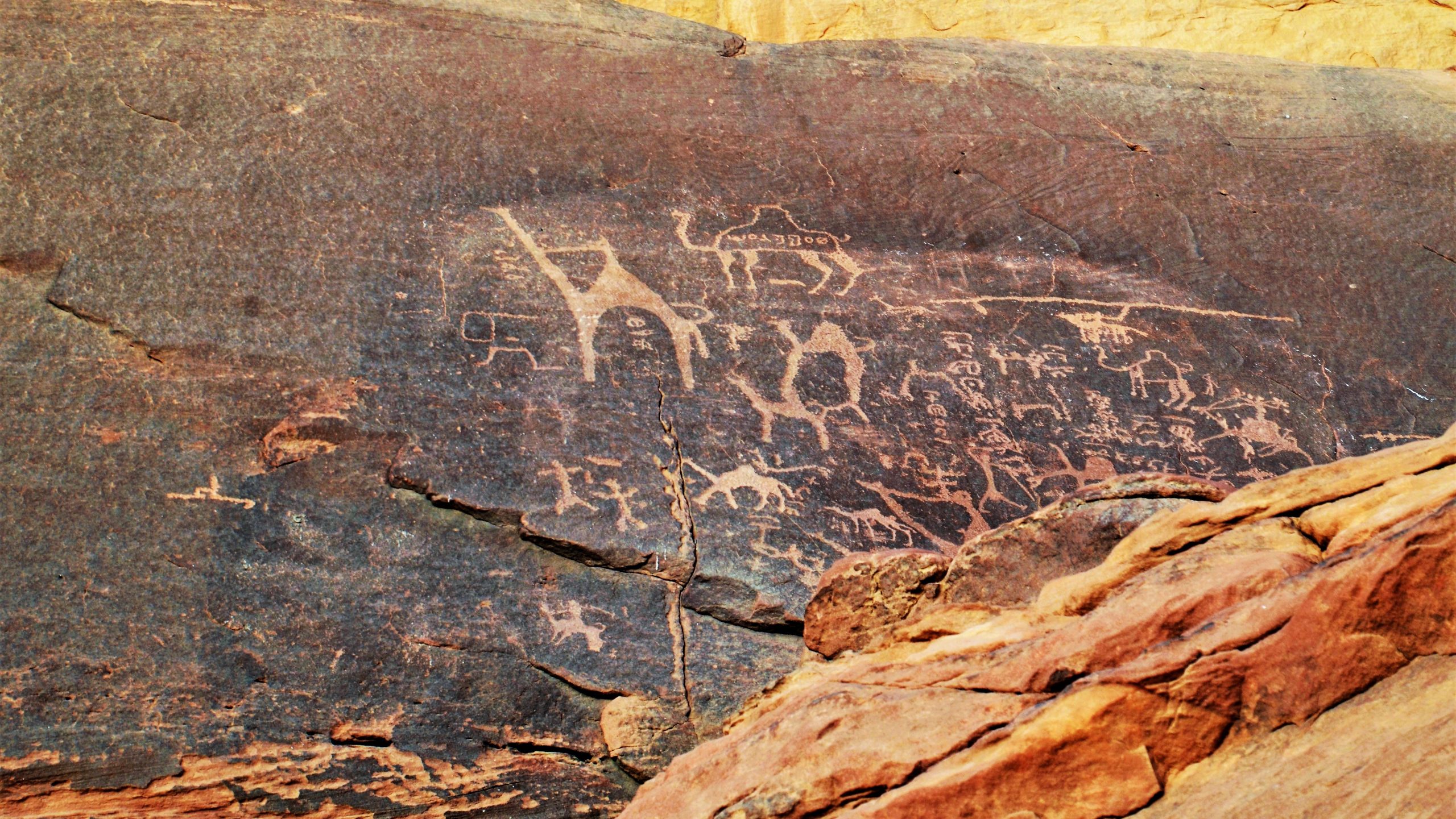 Felszeichnungen in Wadi Rum