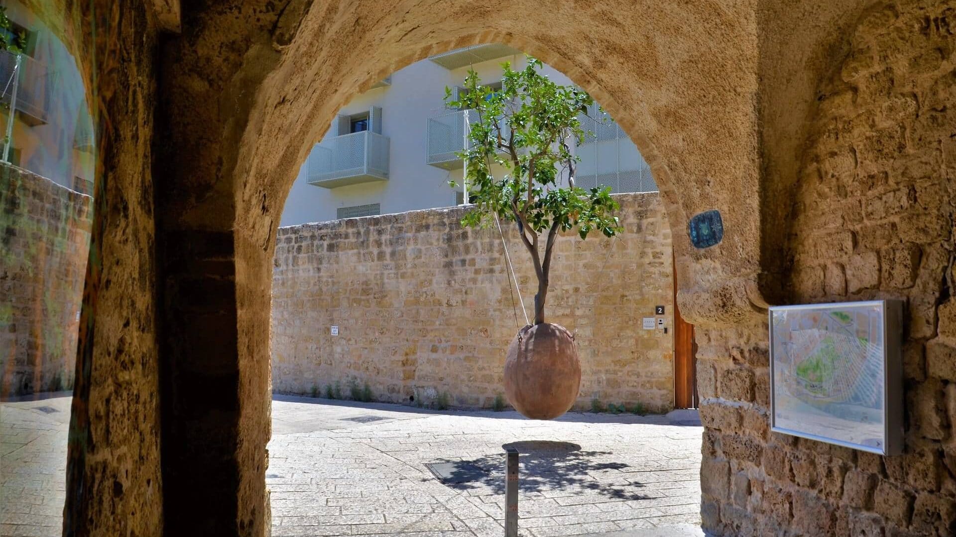 Der hängende Orangenbaum in Jaffa