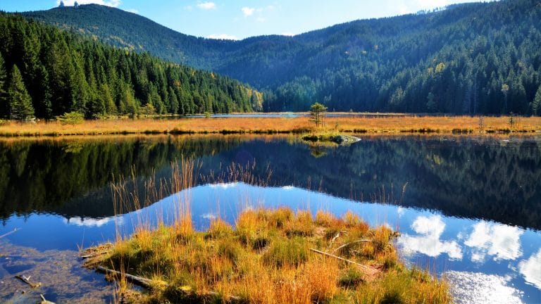 Wanderparkplatz Kleiner Arbersee