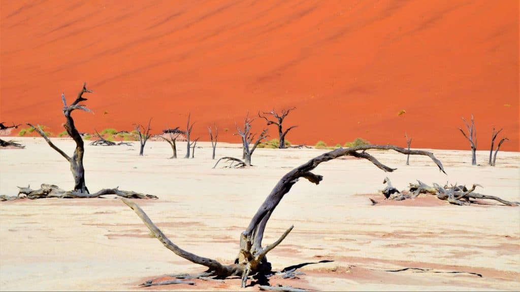 Namib Kalahari Wüste 