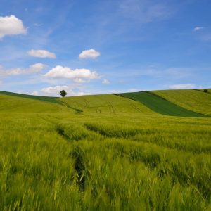 Sehenswürdigkeiten Bad Griesbach