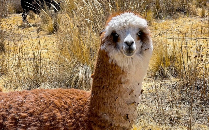Sehenswürdigkeiten Peru