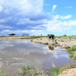 Wie du selbst eine Rundreise durch die Sehenswürdigkeiten Tansania planst Tansania auf eigene Faust