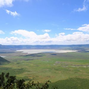 Ngorongoro Krater & Serengeti - Safari auf eigene Faust!