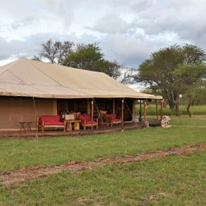 Zawadi Camp Lodge in der Serengeti
